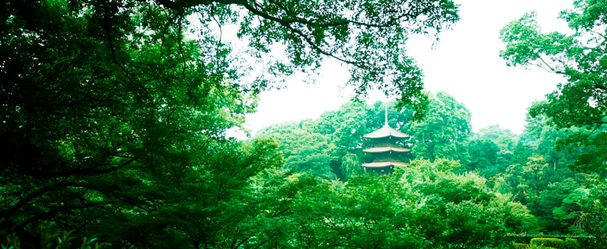 Hotel Chinzanso Tokyo 5 Star Luxury Official Website