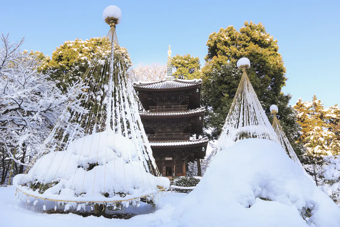 Hotel Chinzanso Tokyo | 5-star Luxury | Official Website