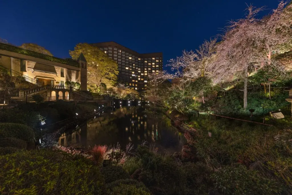 夜桜　苑古 147A9018xs-1024x683.jpg.webp