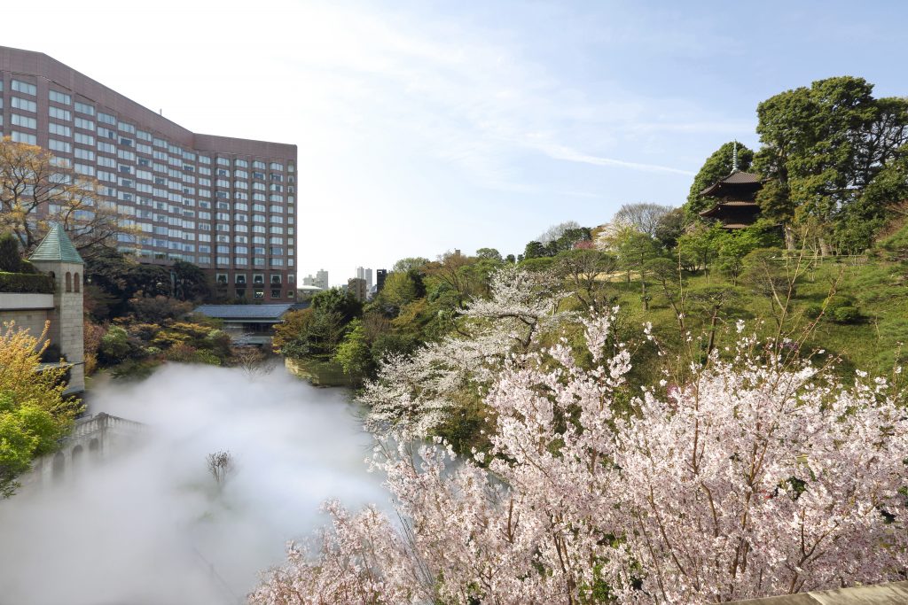 hotel chinzanso tokyo cherry blossom