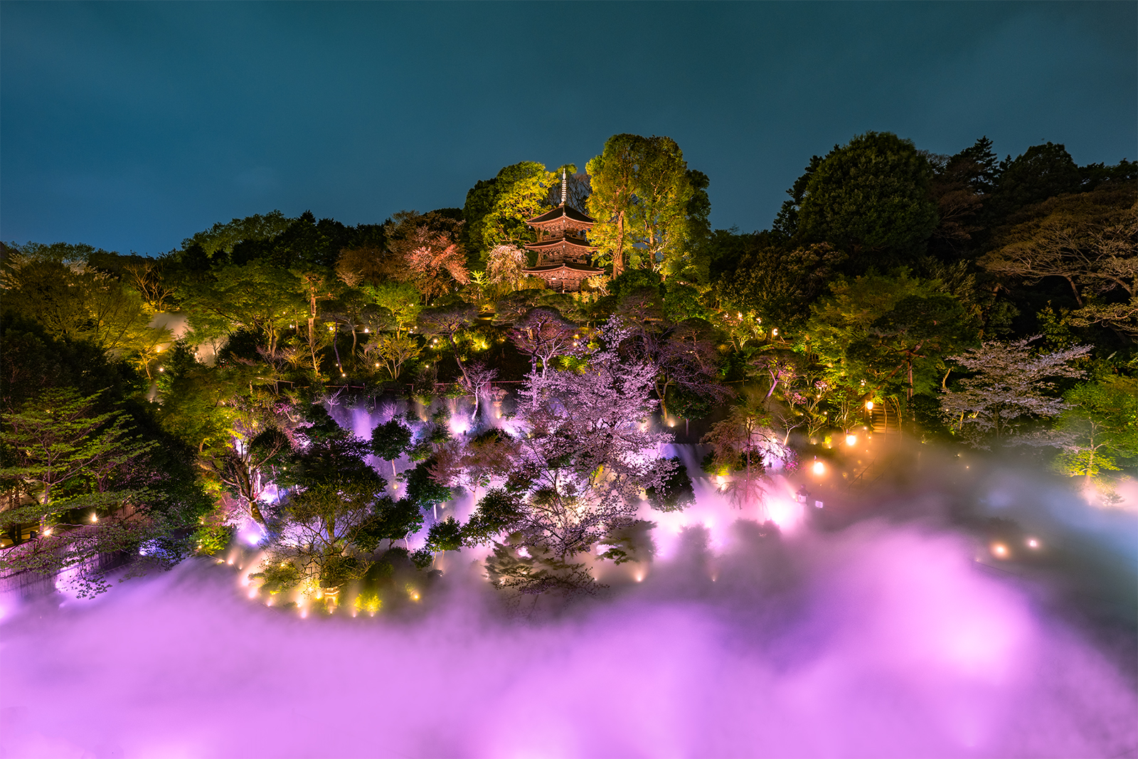 5 Things Guests Love Most About The Tokyo Sea Of Clouds Hotel 