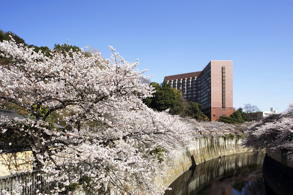 A pink cherry blossom pagoda takes inspiration from the delicate beaut